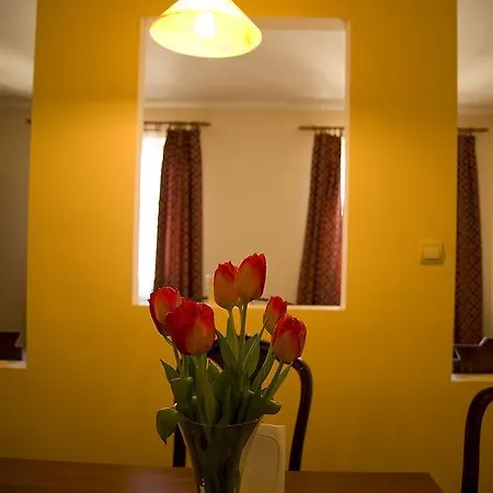 Flower Cracovia