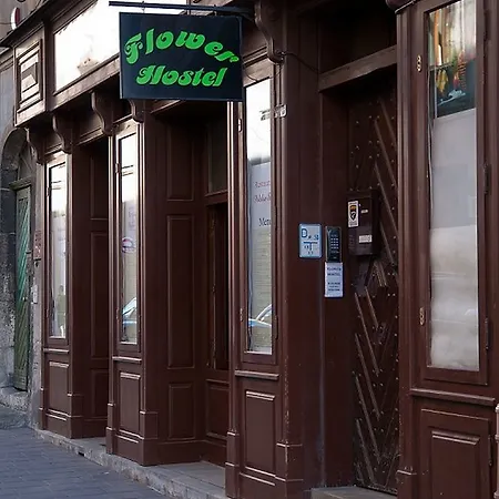 Flower Hostel Kraków