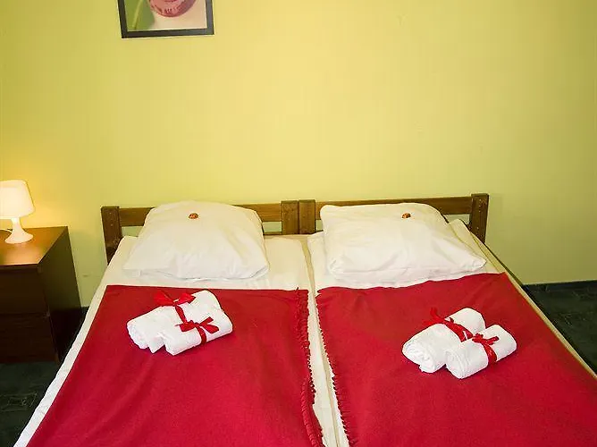 Flower بيت شباب