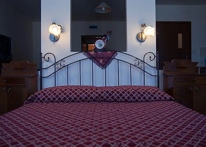 Flower بيت شباب كراكوفيا