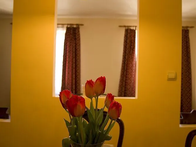 Flower كراكوفيا