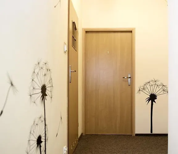 بيت شباب Flower *