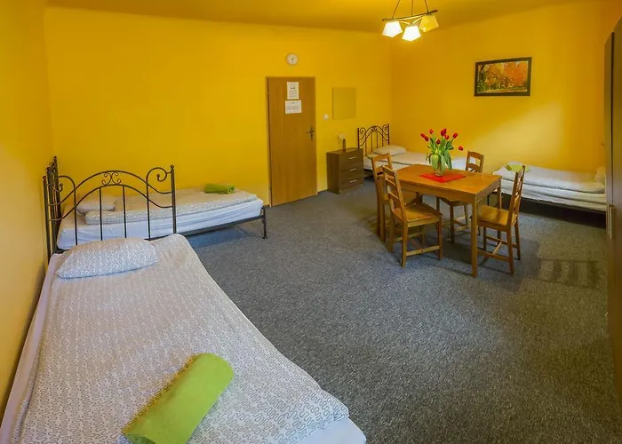 Flower بيت شباب