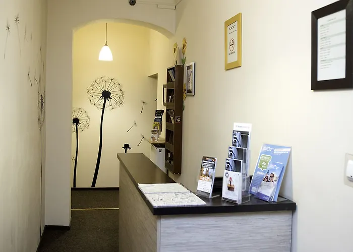 بيت شباب Flower