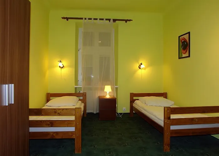 Flower بيت شباب