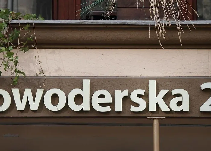 Flower * كراكوفيا