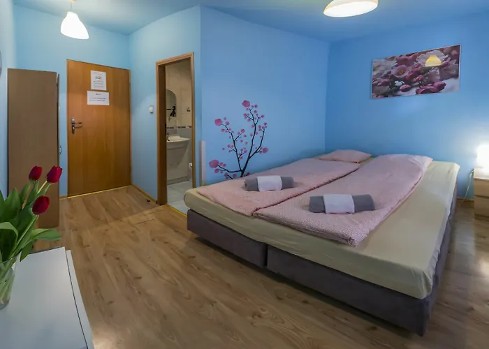 Flower بيت شباب كراكوفيا