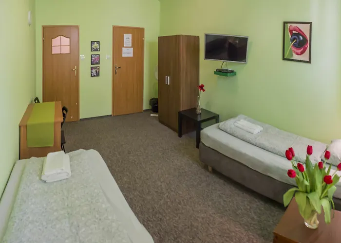 Flower بيت شباب كراكوفيا