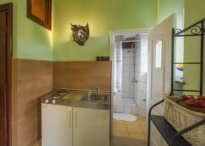 بيت شباب Flower