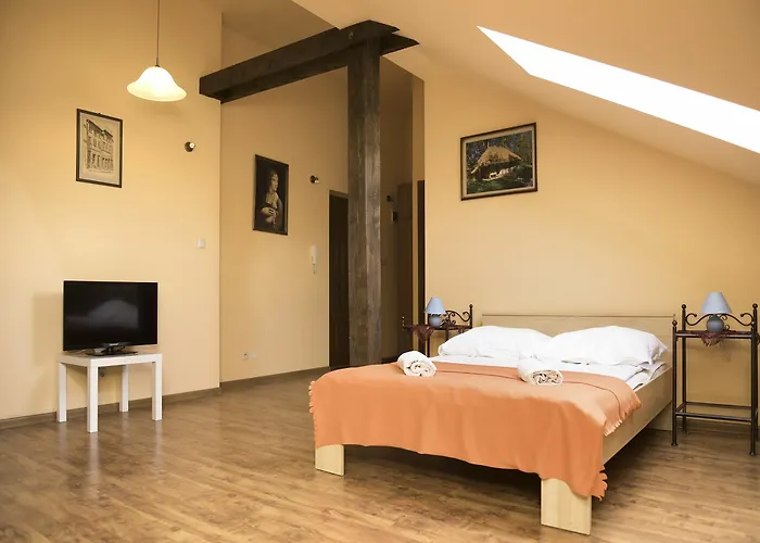 بيت شباب Flower كراكوفيا