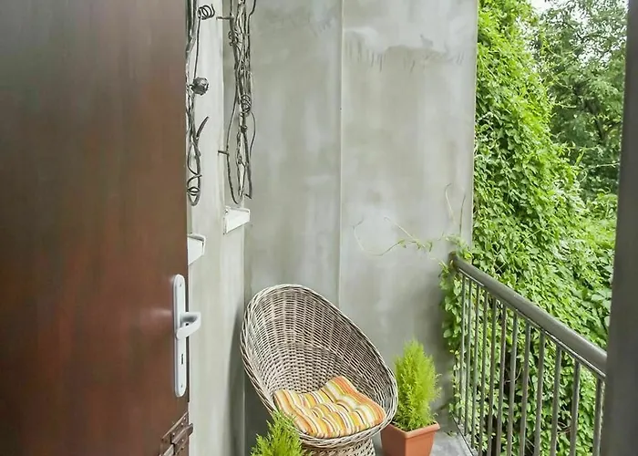 Flower كراكوفيا